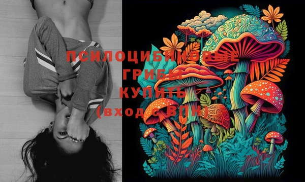 дживик Наволоки